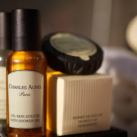 Alize Grenelle Tour Eiffel 3*